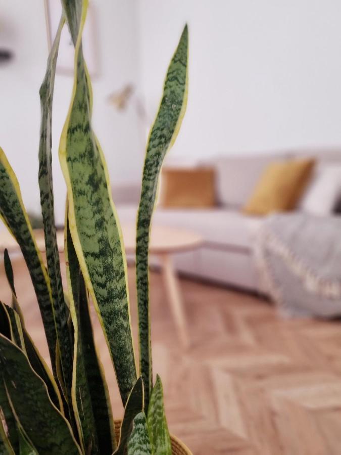 Cozy Apartment In The City Center Granada Buitenkant foto